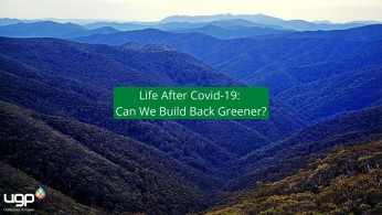 Post Covid-19 - Can we build back greener