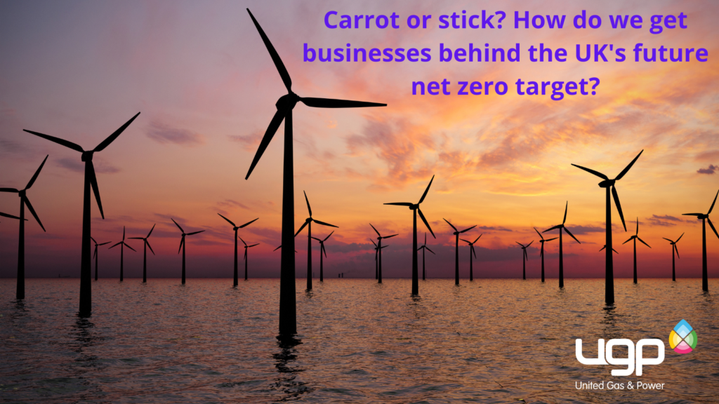 Carrot or stick? How do we get businesses behind the UK's future net zero target?